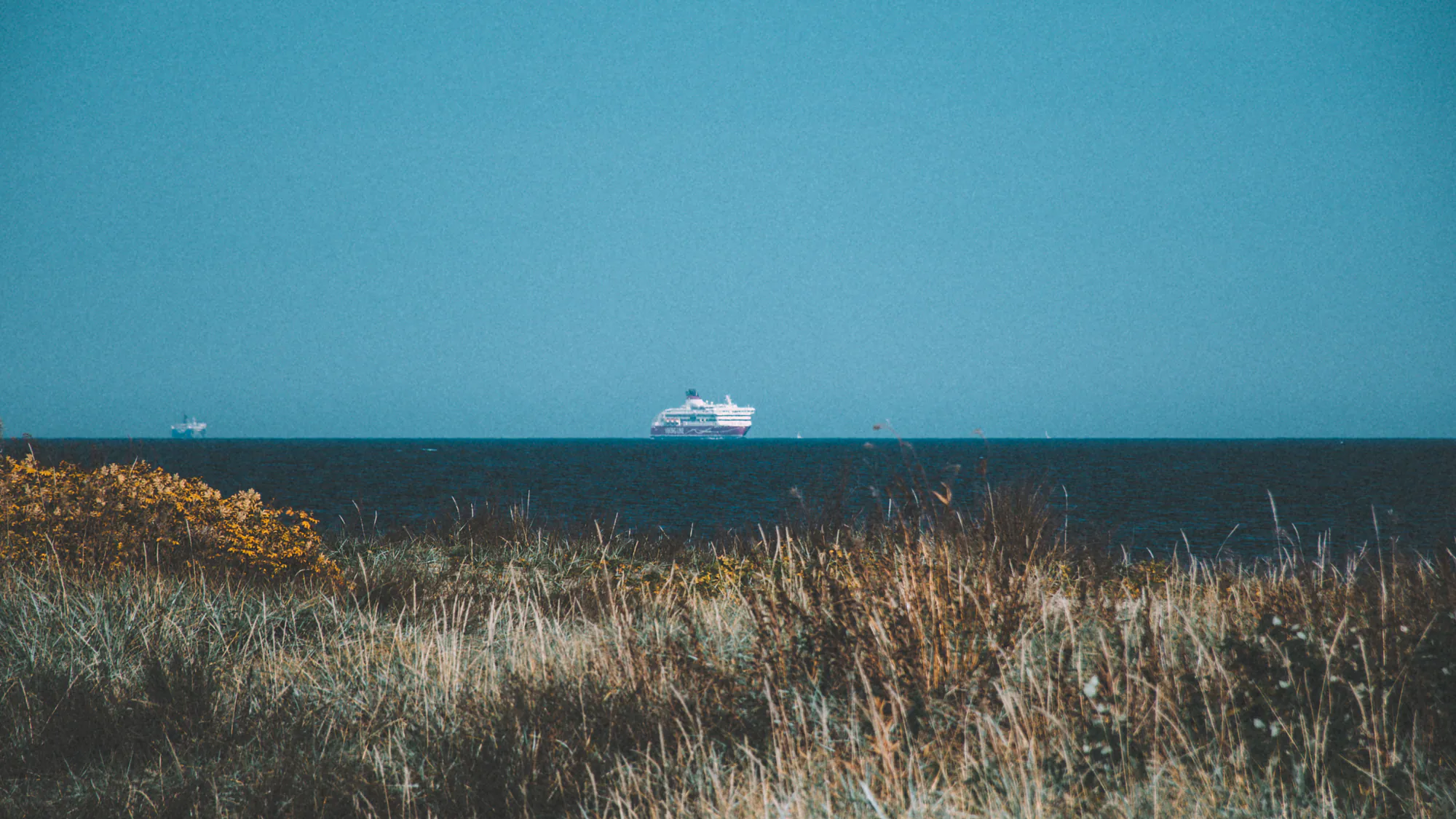 Autumn reeds on the Paljassaare coast with a ferry on the horizon
