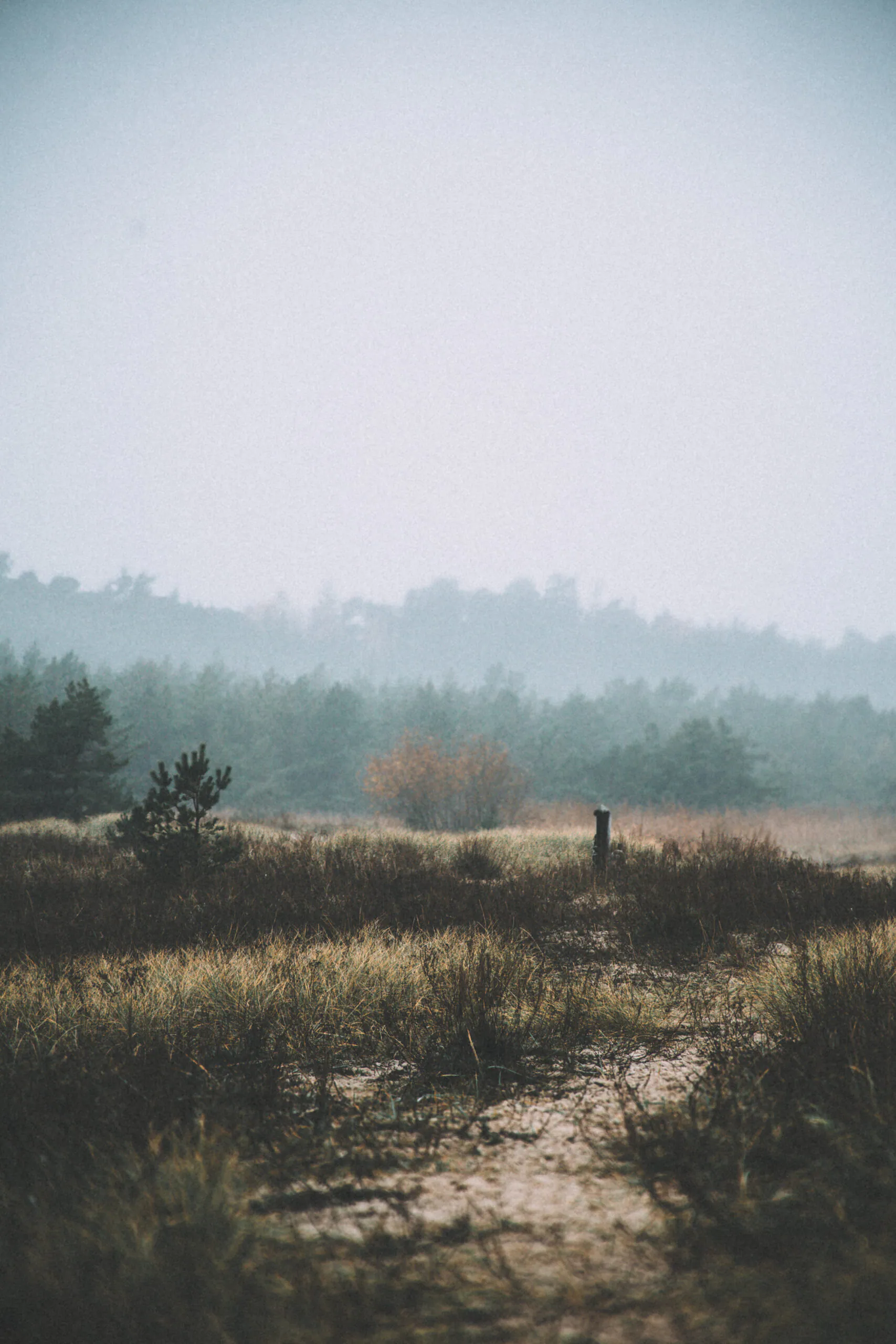 How to Sell Photos on Adobe Stock — photograph by Jasper Raw