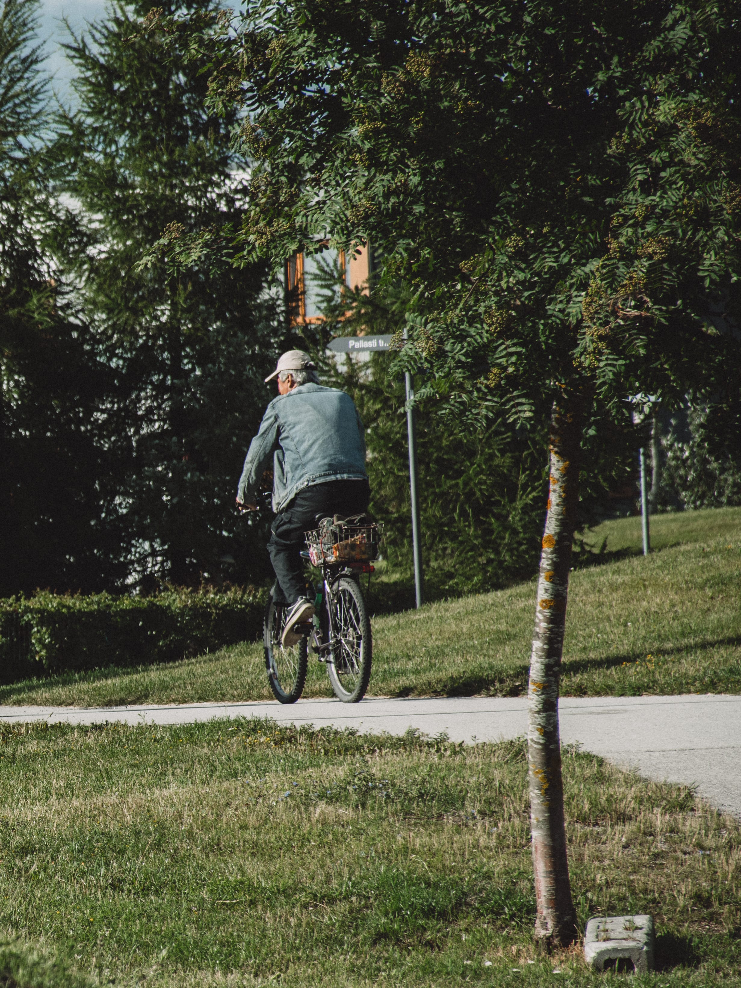 Cyclist riding along a tree-lined park path in Kadriorg Park, Tallinn, Estonia.