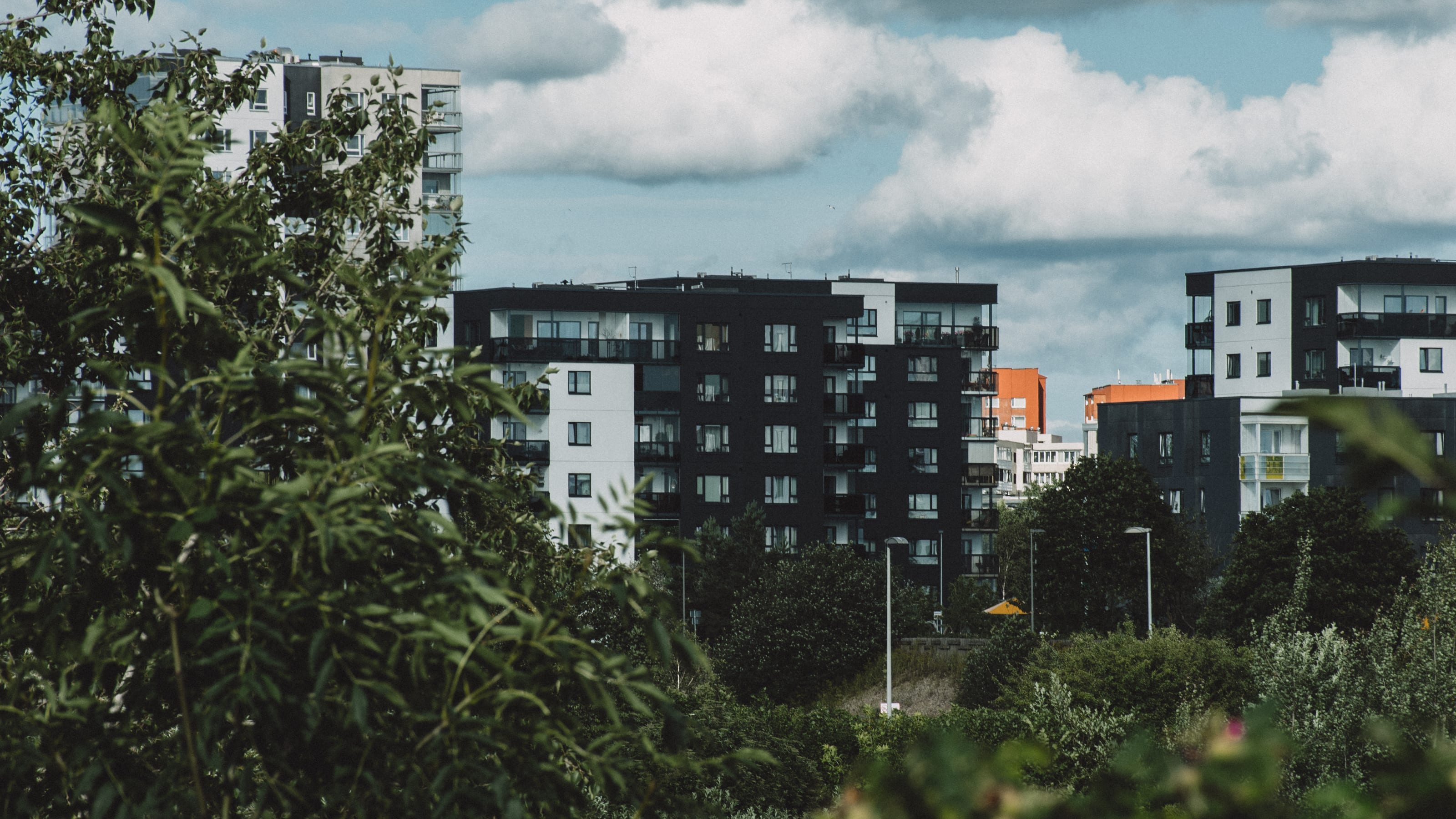 Modern apartment buildings beyond leafy park vegetation in Kadriorg Park, Tallinn, Estonia.