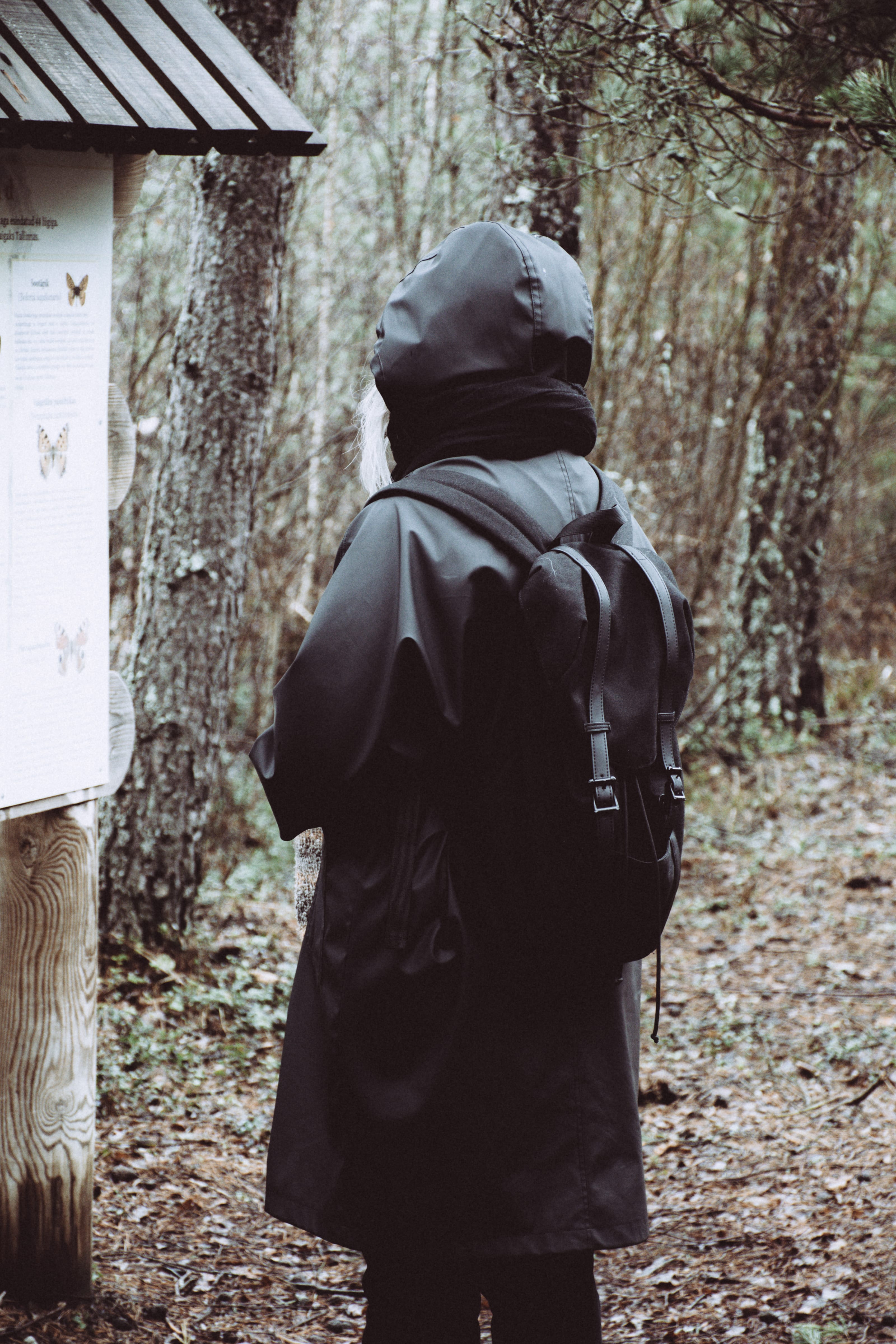 Butterfly information board beside a forest trail in Nõmme Bog, Tallinn, Estonia.