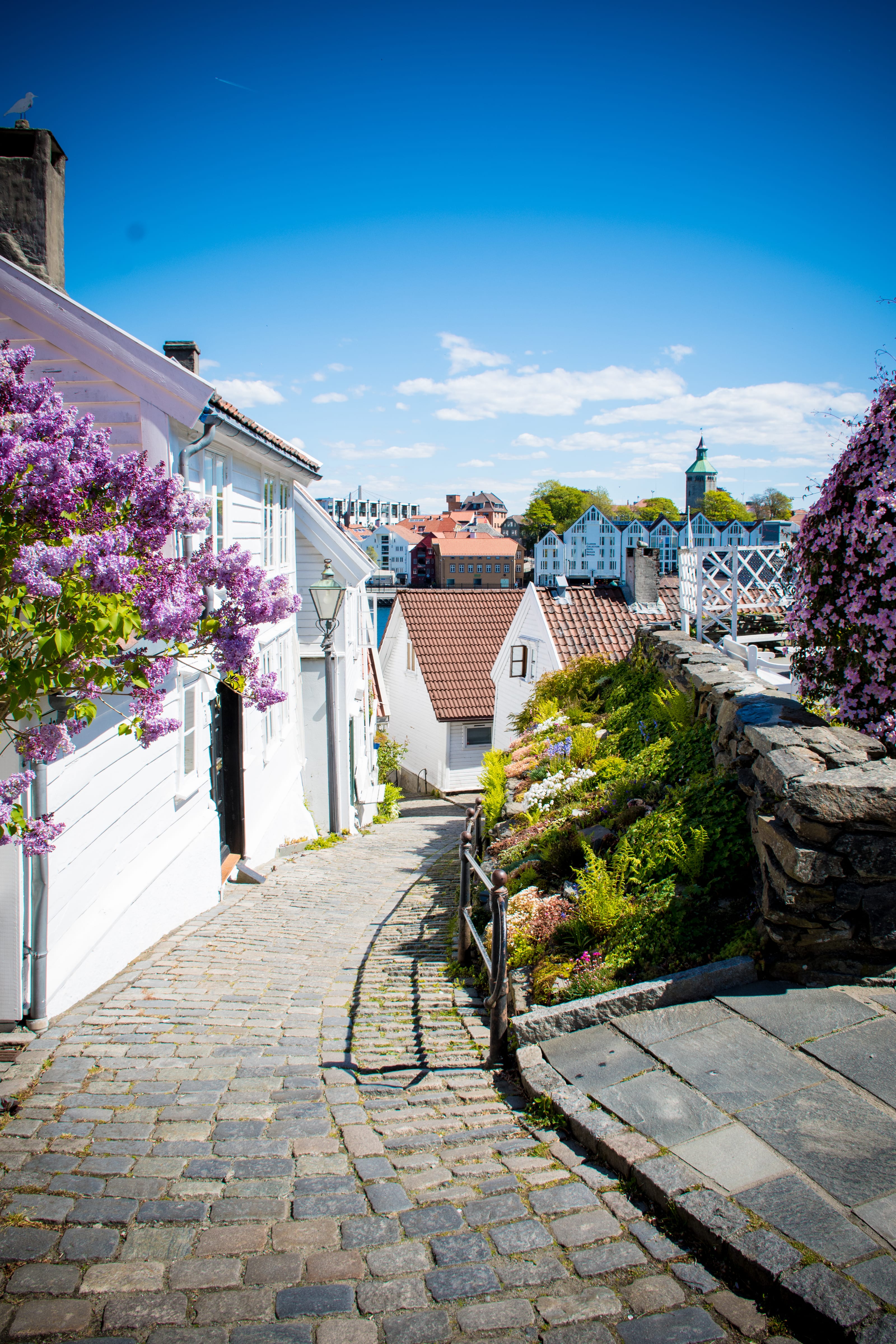 Flower-lined cobbled lane between white wooden houses in coastal Norway.