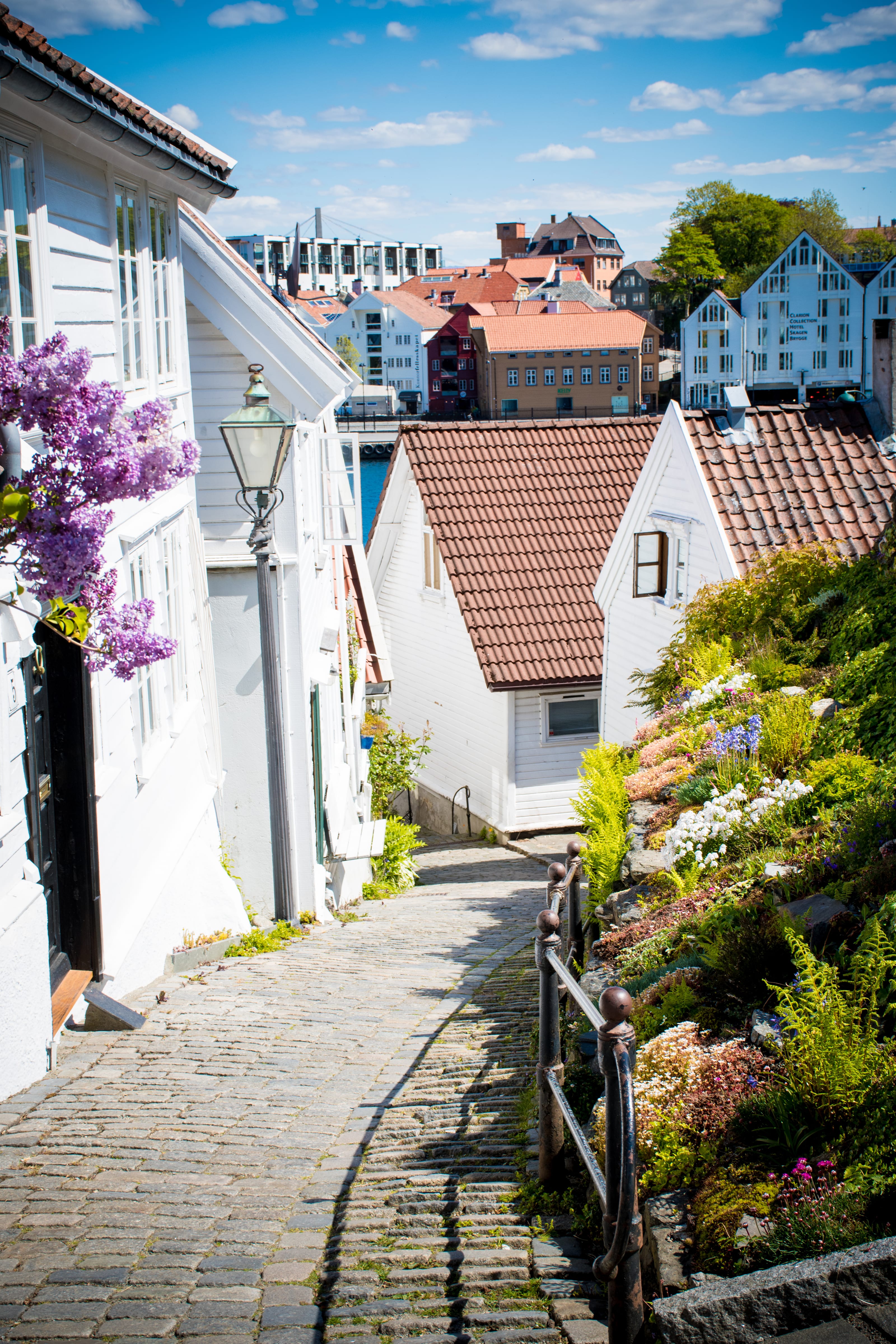Steep stone lane winding between coastal cottages in coastal Norway.