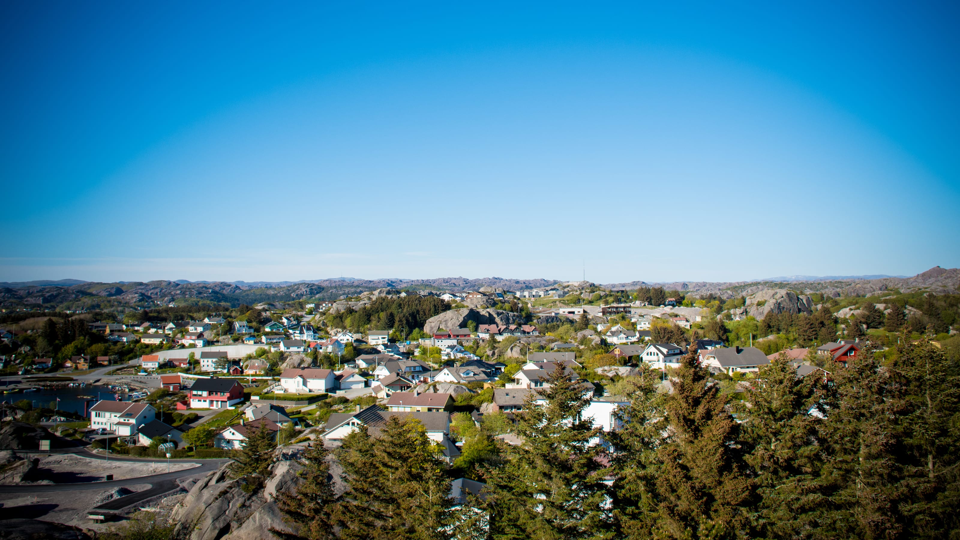 Coastal town seen from a high green hillside in coastal Norway.