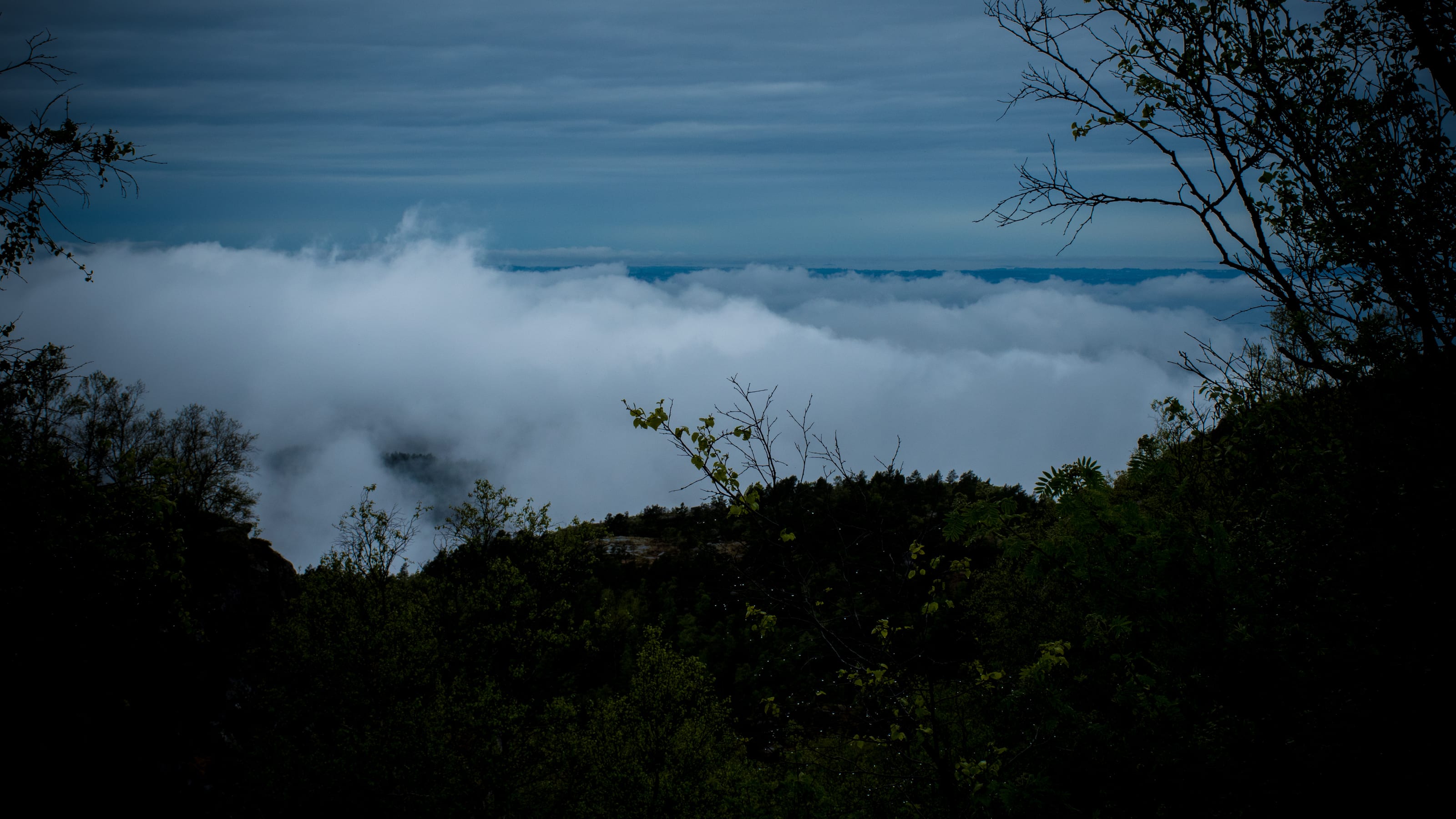 Low cloud rolling across a wooded mountain valley in coastal Norway.