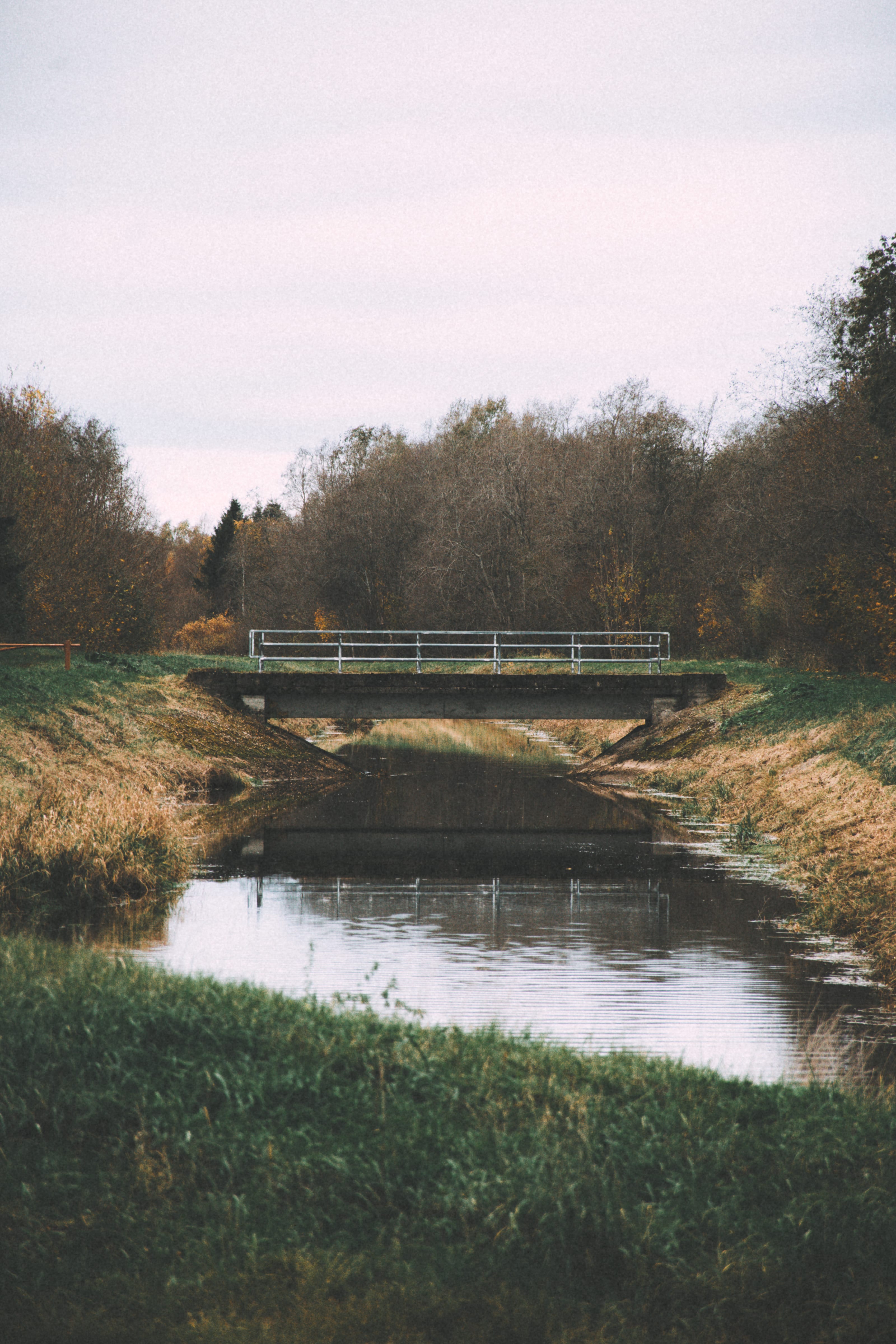 Leafless orchard trees under a muted winter sky in Rae Village, Estonia.