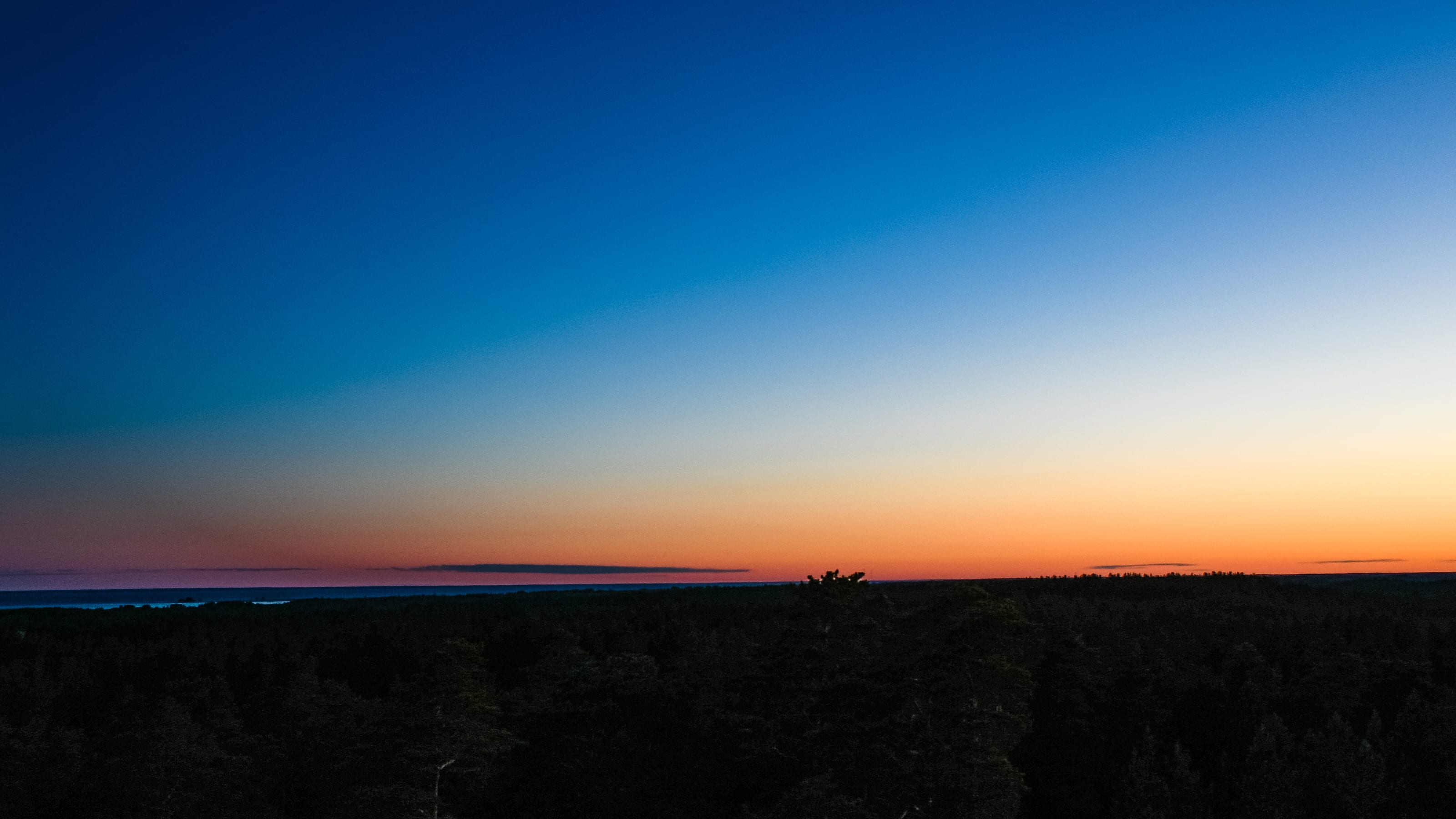 Orange dawn spreading across a flat bog horizon in Tolkuse Bog, Estonia.