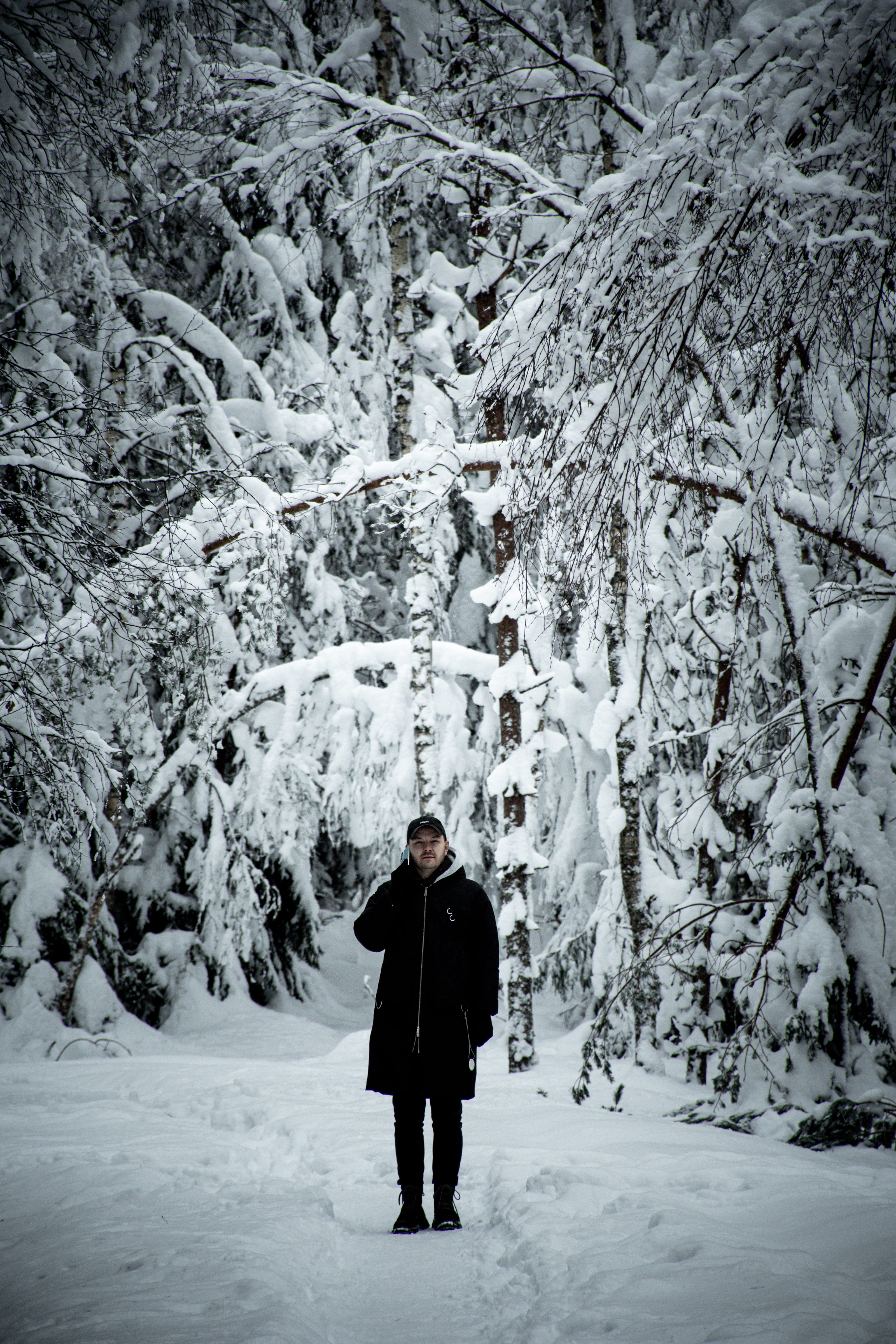 Walker entering a snow-laden forest corridor in Viru Bog, Estonia.