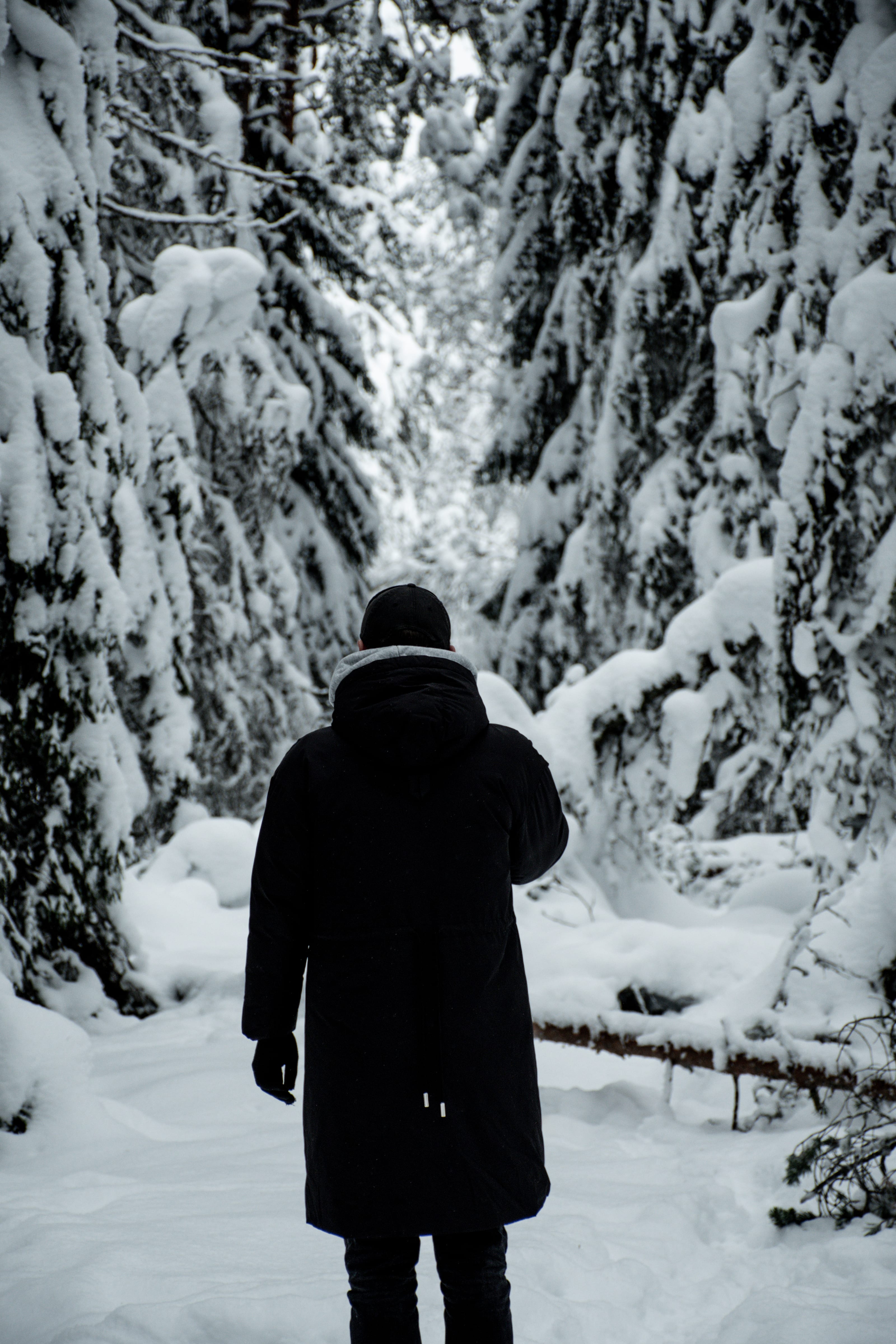 Dark-coated walker beneath arching snowy branches in Viru Bog, Estonia.