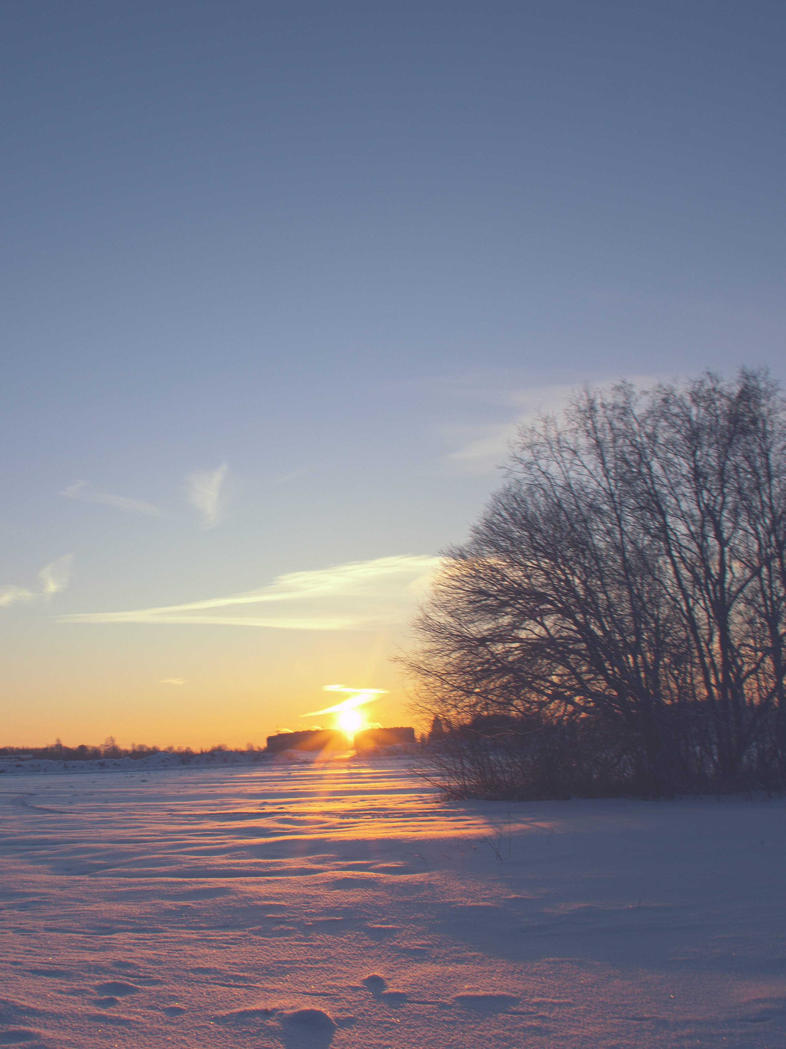 Low winter sun touching a snowy field and bare trees in Viru Bog, Estonia.