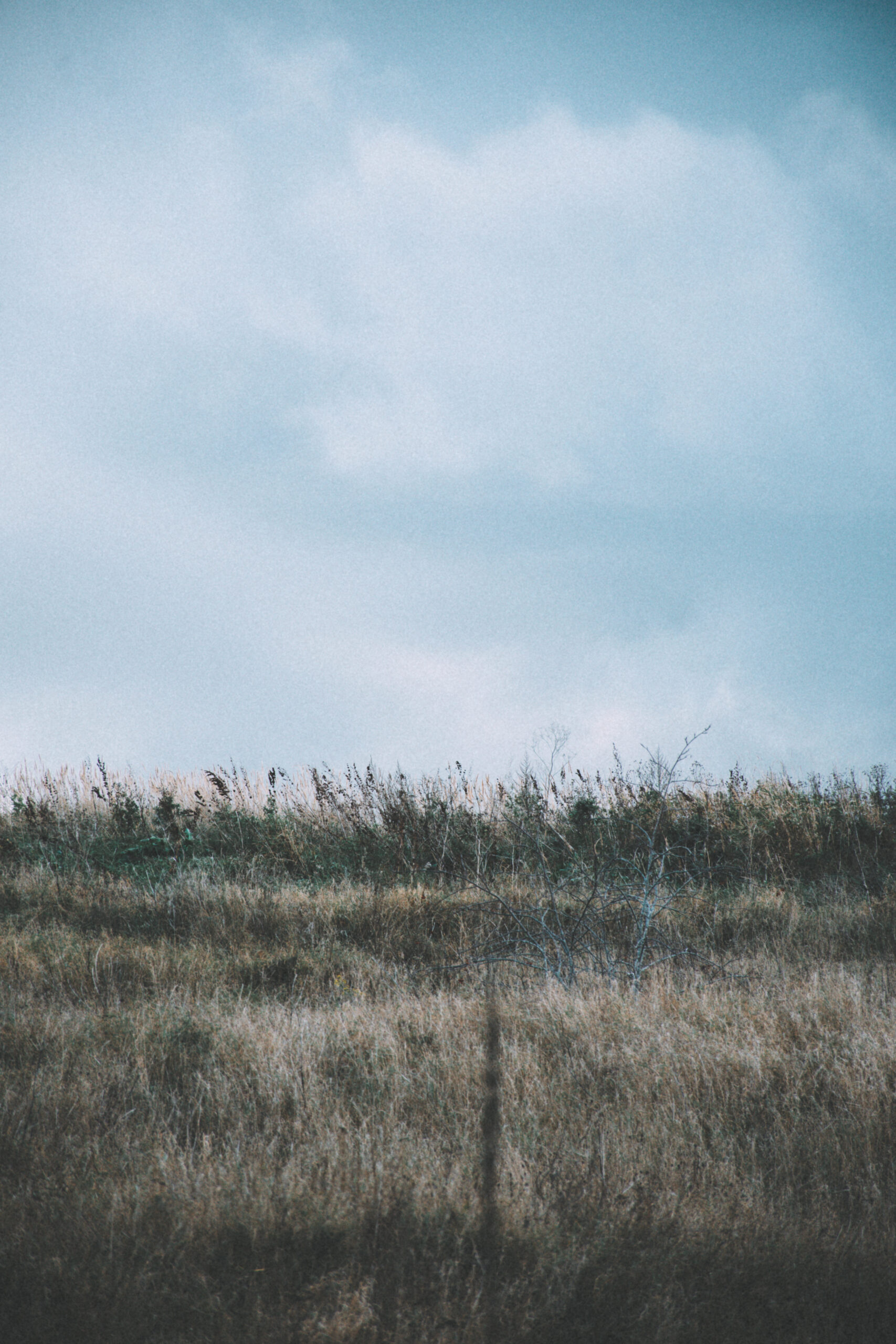 A Journey Along Tallinn’s Astangu Hiking Trail