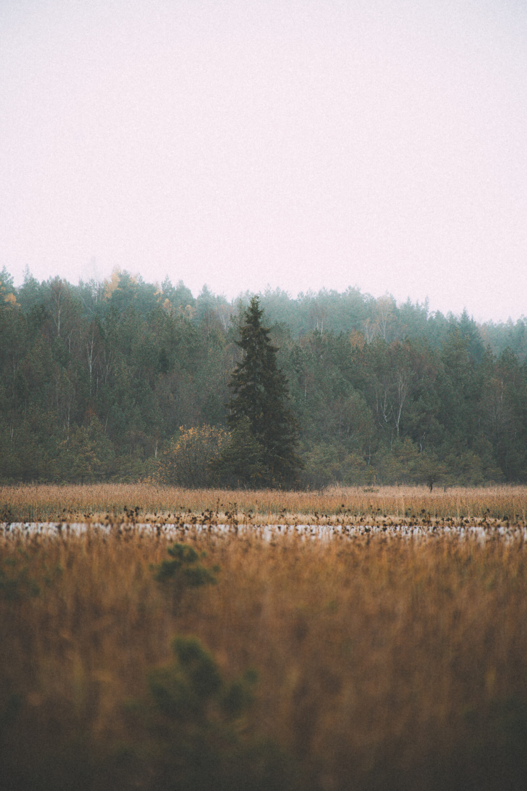 The Magic of Valgejärve Matkarada