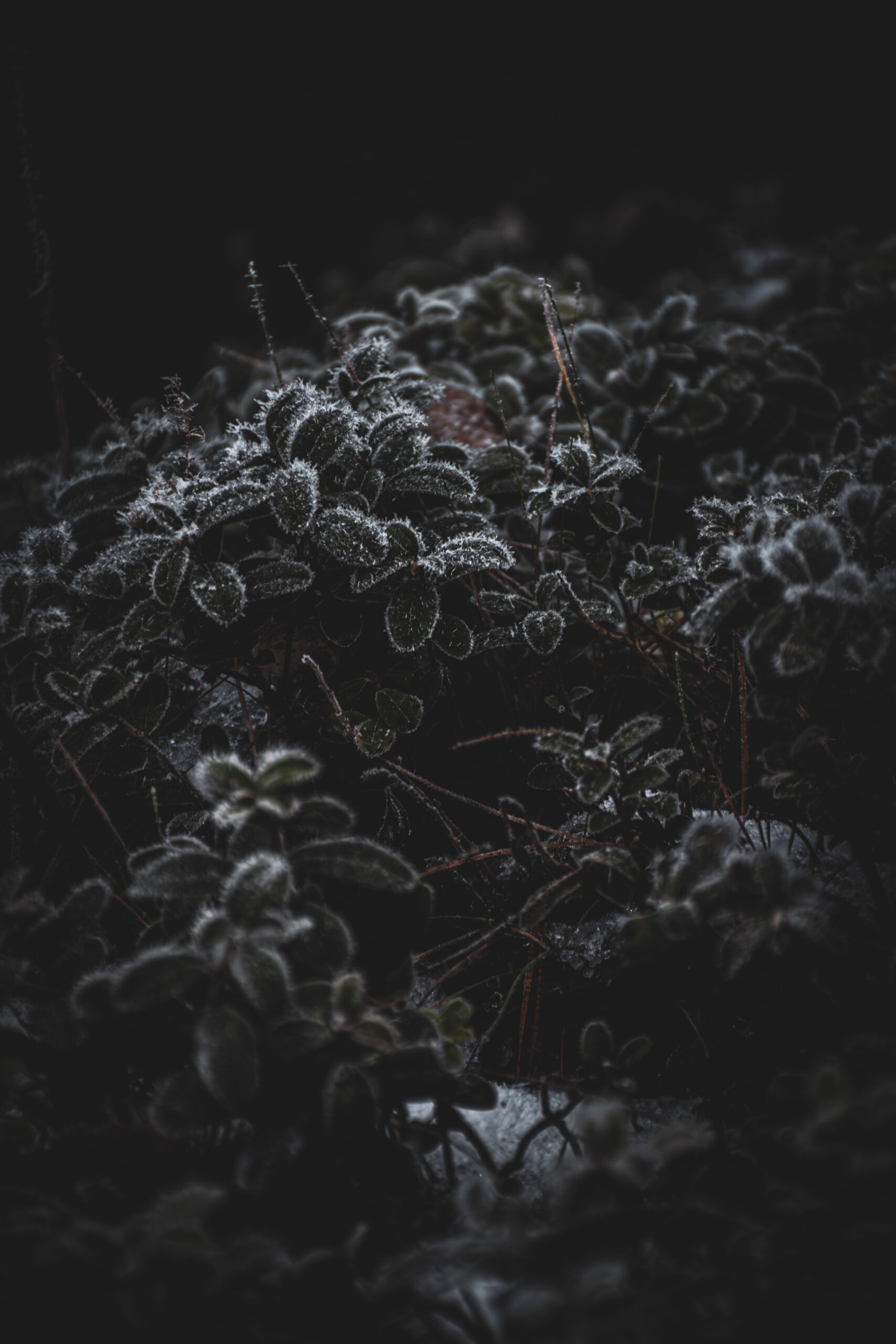 Best Places to Sell Photos Online in 2026 – Photographer’s Guide